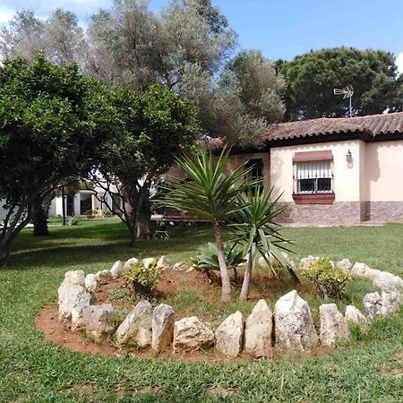 Chalet En La Barrosa, Piscina+Bbq+Grifo De Cerveza チクラナ・デ・ラ・フロンテーラ エクステリア 写真
